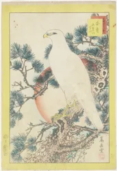 Nr. 1, Witte valk en vijfnaaldige den, 1859