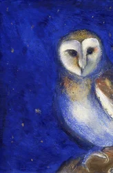 Magische nacht 1, 2013
