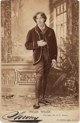 Portret van Oscar Wilde 1854-1900, 1882