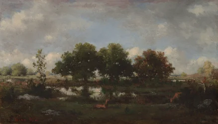 Boslandschap met herten
