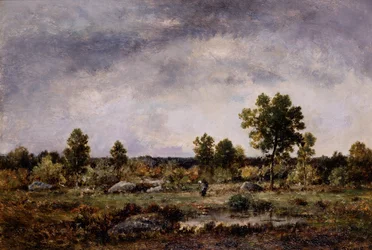 Landschap