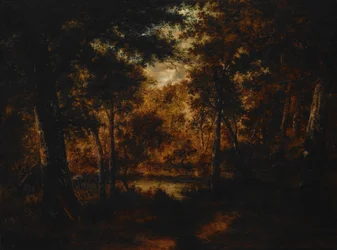 De elfenpoel