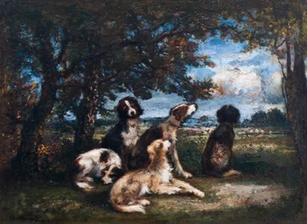 Honden in het Fontainebleau-bos