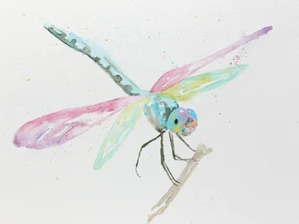 Libellen op een tak in pastelkleuren