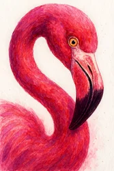 Elegante roze flamingo