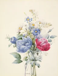 Een Roos, Anemoon, Reseda en Madeliefjes