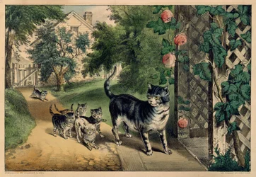 De terugkeer van de poes, 1874-78.