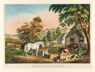 Amerikaanse boerderijsituaties. Nr. 3