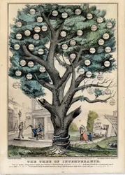De Boom van Onmatigheid, gepubliceerd door N. Currier, New York, 1849