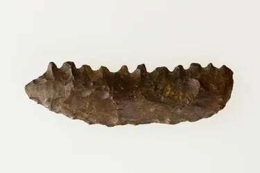 Bifaciale sikkel, c.4500-4000 v.Chr.
