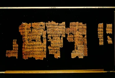 Fragmenten van het document met de daden van farao Thoetmosis III