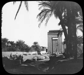 Laan van Sfinxen, Karnak, Egypte, c1890