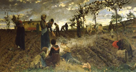 Zaaien in Toscane