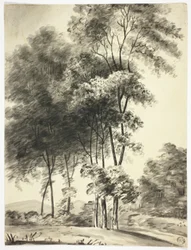 Bomen met bergen in de verte