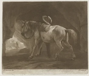 Pissend paard