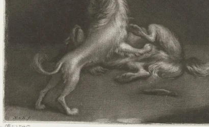 Twee spelende honden