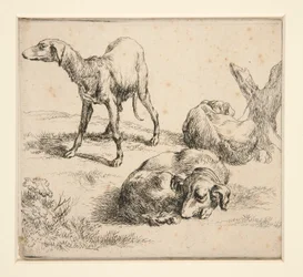 Drie jachthonden