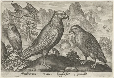 Arend en andere roofvogels