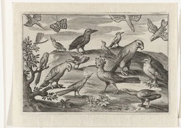 Hop en andere vogels Vogels en insecten (serie titel)