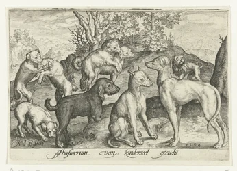Negen honden