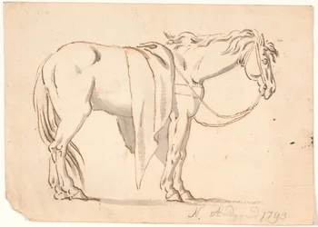 Een paard met deken op