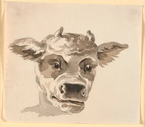 Hoofd van de Minotaurus