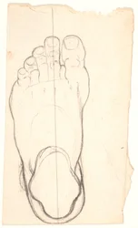 Schets van een Voet van Bovenaf Gezien. Hiel Links