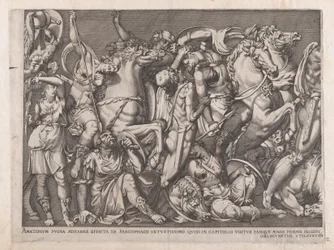Speculum Romanae Magnificentiae: Slag van de Amazonen, 1559