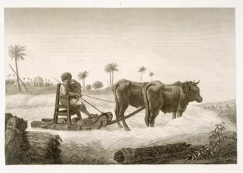 Oogsten van maïs, uit Volume II Arts and Trades van 