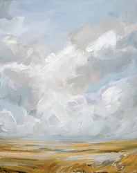 Weids landschap met wolken