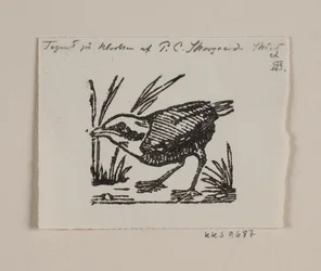 Een vogeljong