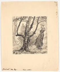 Het varken