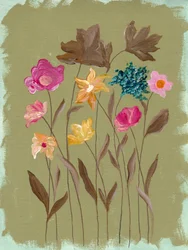Tuin met kleurrijke wilde bloemen