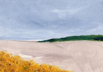 Kust van Golden Dunes