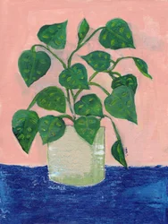 Kleurrijke kamerplant in pot