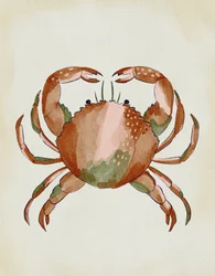 Krab in aquarel