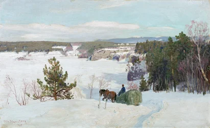 Winterlandschap