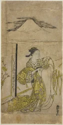 Vrouw die kimono vasthoudt met Mt. Fuji erboven