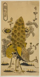 Stokrozen en pauwen (Aoi ni kujaku)