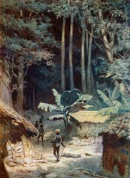In de diepten van een Melanesisch bos, 1908