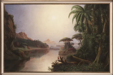 Tropisch landschap