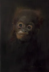 Baby orang-oetan 1, 2009 (acryl op hout)