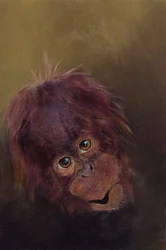Baby orang-oetan 2, 2010 (acryl op hout)