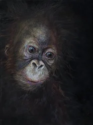 Baby orang-oetan 3, 2015 (acryl op hout)