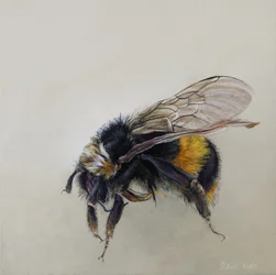 Bombus terrestris 1 (a), 2008 (acryl op hout)