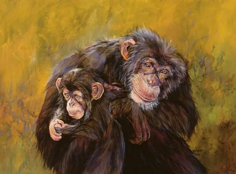 Chimpansees (acrylverf op doek)