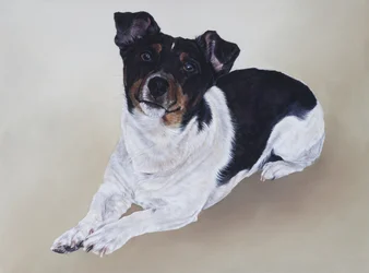 Spike, 2012 (acryl op hout)