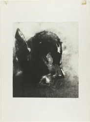 Gevangen Pegasus