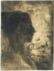 Profiel van de schaduw