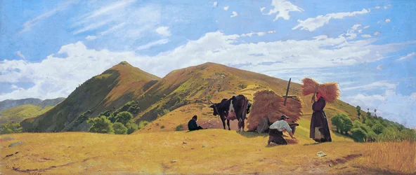 Graanoogst in de bergen van San Marcello